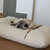 Schlafsack für Hunde Divan DUE