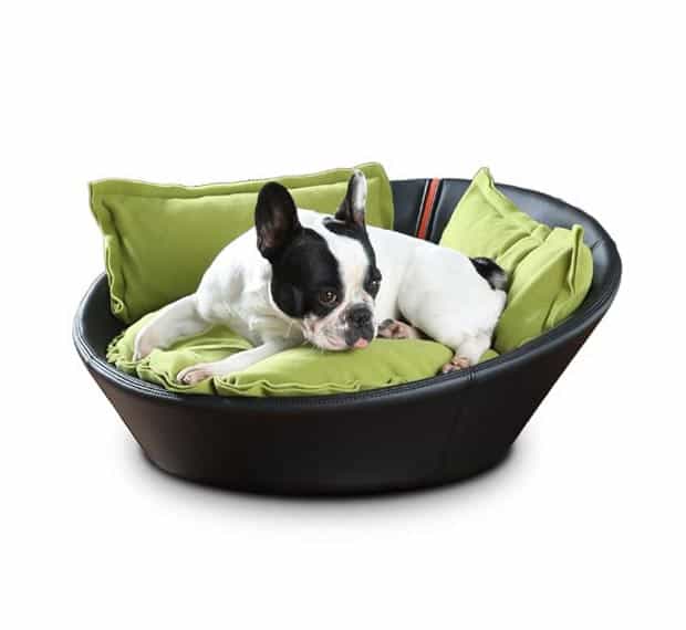 Bulldog francese dorme profondamente rilassato nella sua cesta per cani da pet-interiors